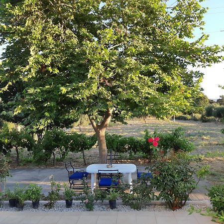 Swan House Panoramic View - Near The Sea Vila Ziparion Exterior foto
