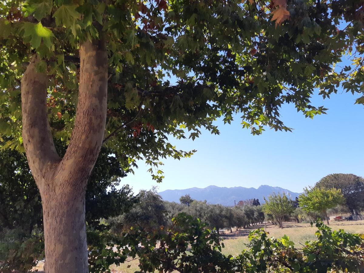 Swan House Panoramic View - Near The Sea Vila Ziparion Exterior foto
