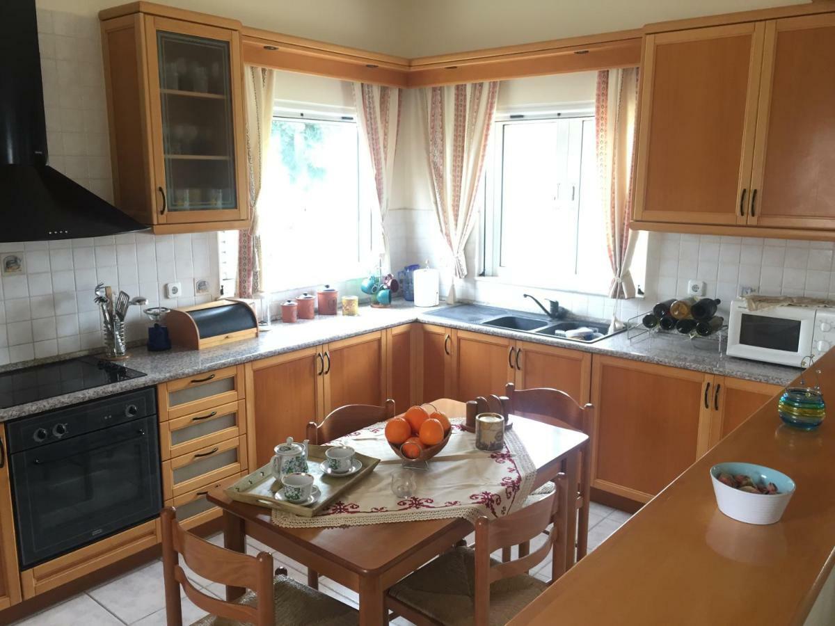 Swan House Panoramic View - Near The Sea Vila Ziparion Exterior foto