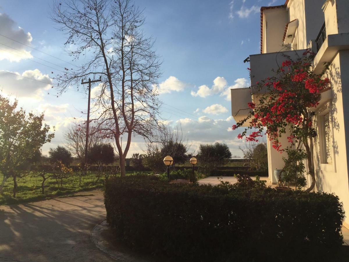 Swan House Panoramic View - Near The Sea Vila Ziparion Exterior foto