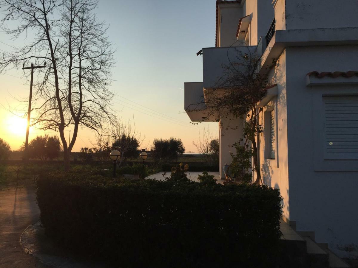 Swan House Panoramic View - Near The Sea Vila Ziparion Exterior foto